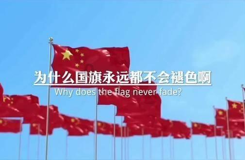 陇南公安破获1起特大跨境网络赌博案